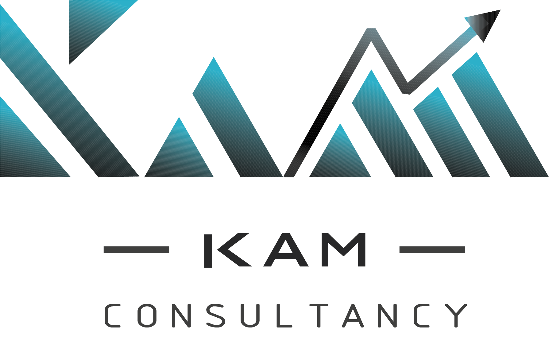 Kam Consultancy London Ltd